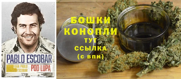 ПСИЛОЦИБИНОВЫЕ ГРИБЫ Абаза