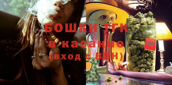 ПСИЛОЦИБИНОВЫЕ ГРИБЫ Абаза