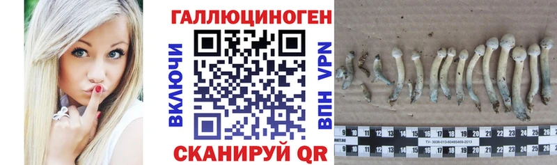Галлюциногенные грибы Magic Shrooms Алагир